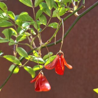 Boucles Flore coquelicot